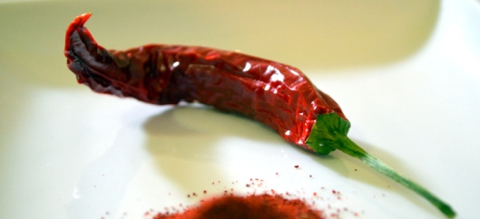 Chili Pepper www.sercocinera.wordpress.com