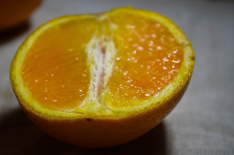 orange (1 of 1)